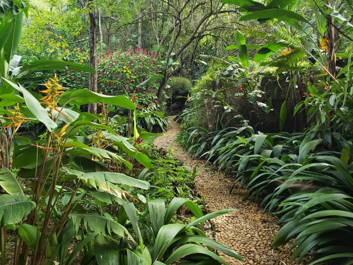 A Arte De Bem Viver Hotel Tiradentes Exterior photo